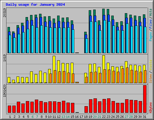 Daily usage for January 2024