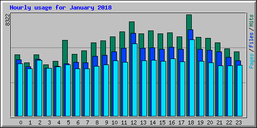 Hourly usage for January 2018