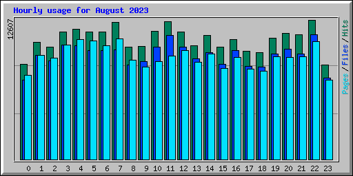 Hourly usage for August 2023