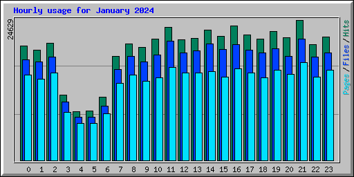 Hourly usage for January 2024