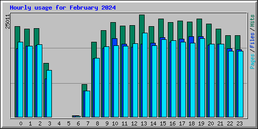 Hourly usage for February 2024