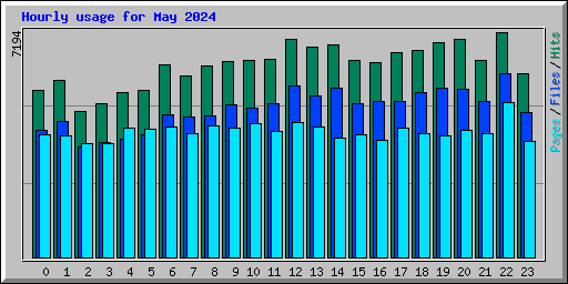 Hourly usage for May 2024